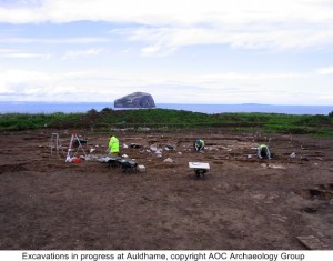 Excavation in progress at Auldhamea