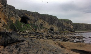 Covesea Caves 1 and 2 (from NE)