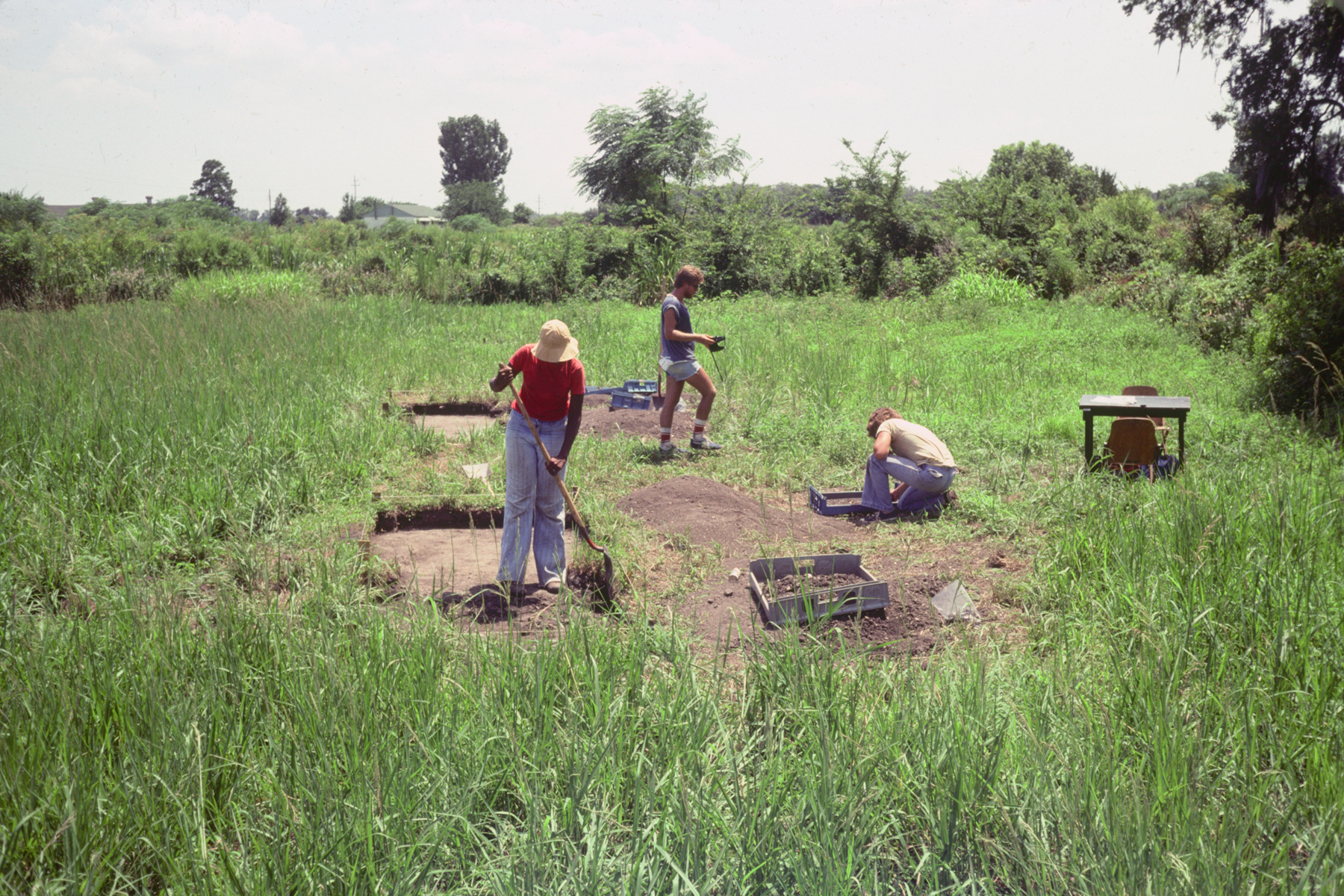 Singleton conducting test excavations at Butler Island Plantation Site