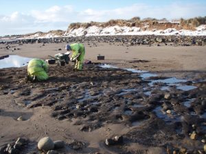 archaeologists-recording-human-and-animal-footprints-in-a-late-mesolithic-intertidal-land-surface-under-active-erosion-by-the-sea-clive-waddington