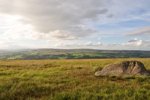 Badger rock, a densely decorated boulder located in an open landscape (Ilkley Moor, Yorkshire) - Joana Valdez-Tullet