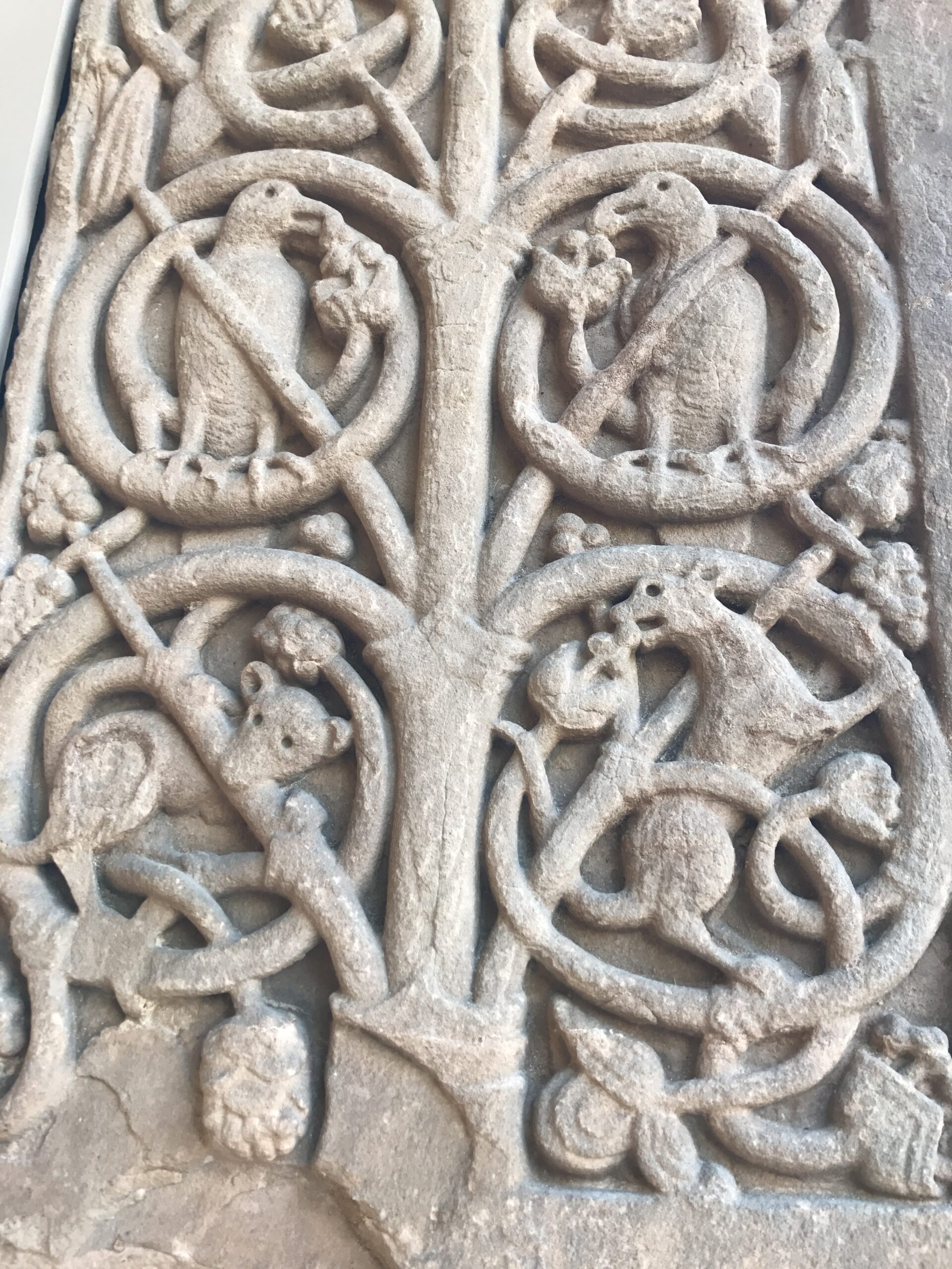 1. Shrine fragment from Jedburgh Abbey (Credit - Christina Cowart-Smith) A close-up image of a stone panel carved with vines and small woodland animals eating grapes